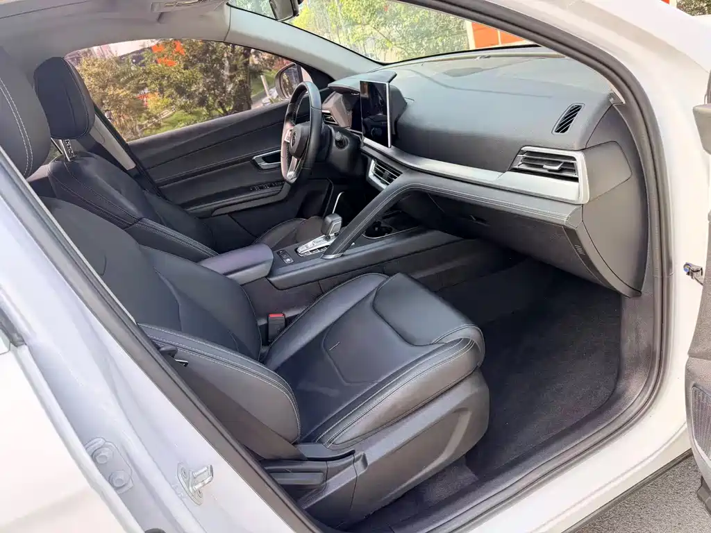 BYD Pro — миниатюра 19