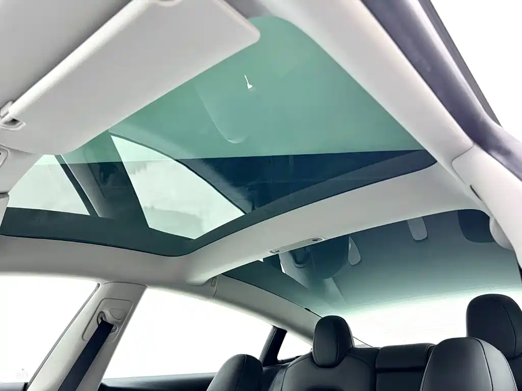 Tesla Model 3 — миниатюра 13