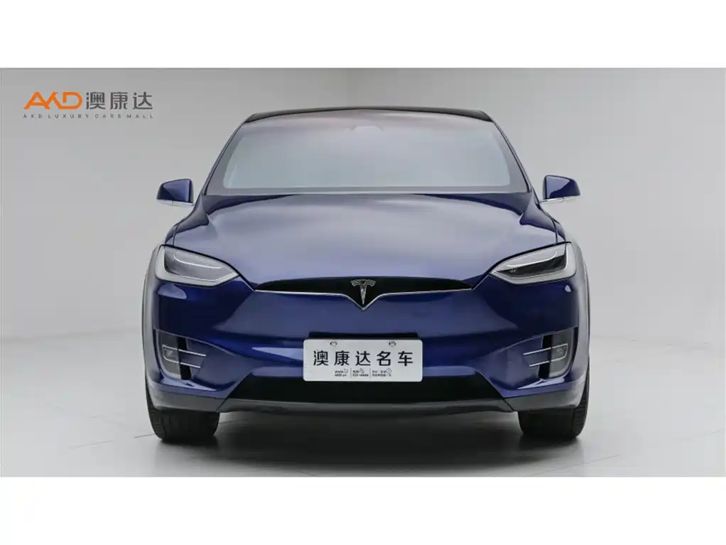 Tesla Model X — миниатюра 2