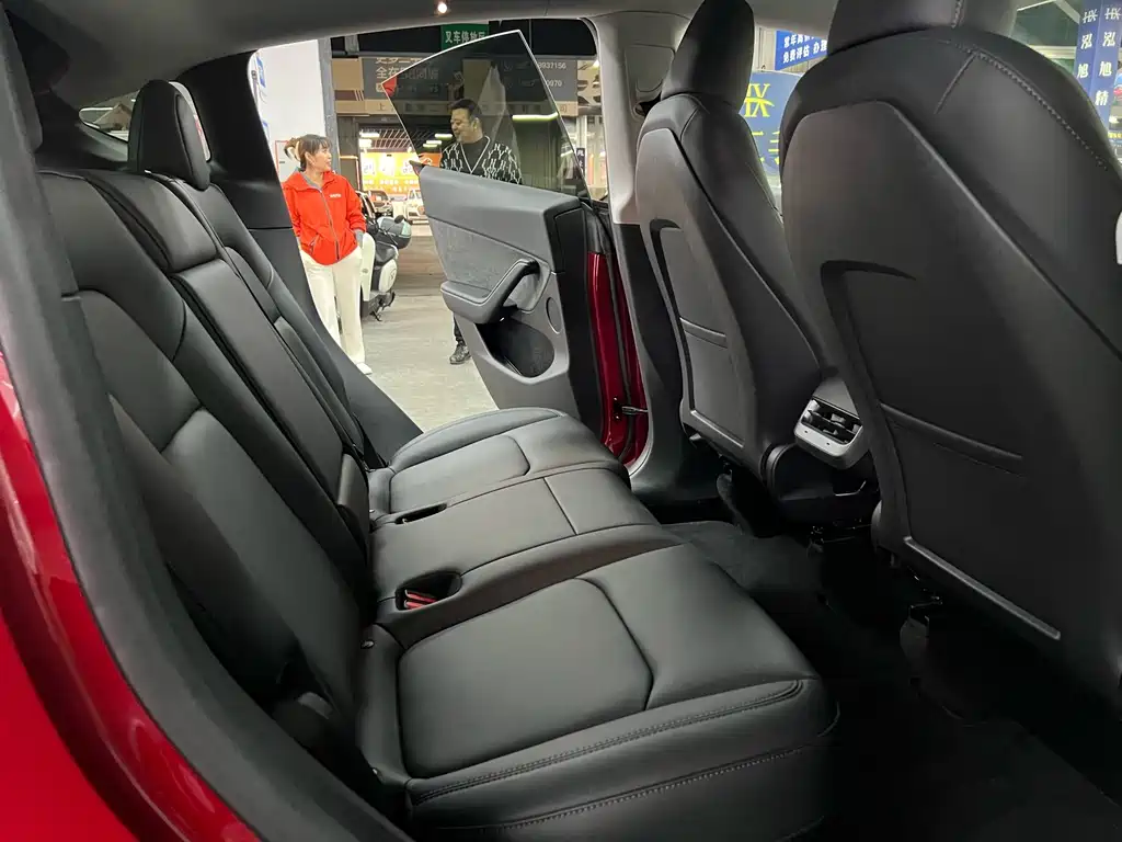 Tesla Model Y — миниатюра 10
