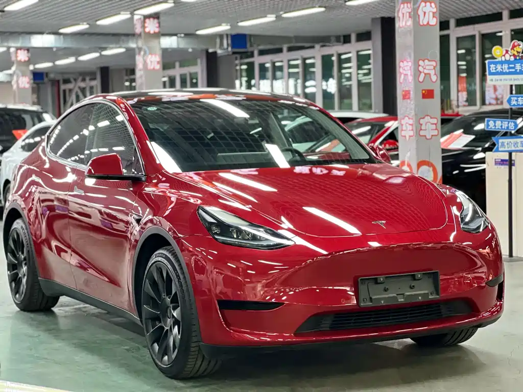 Tesla Model Y — миниатюра 5