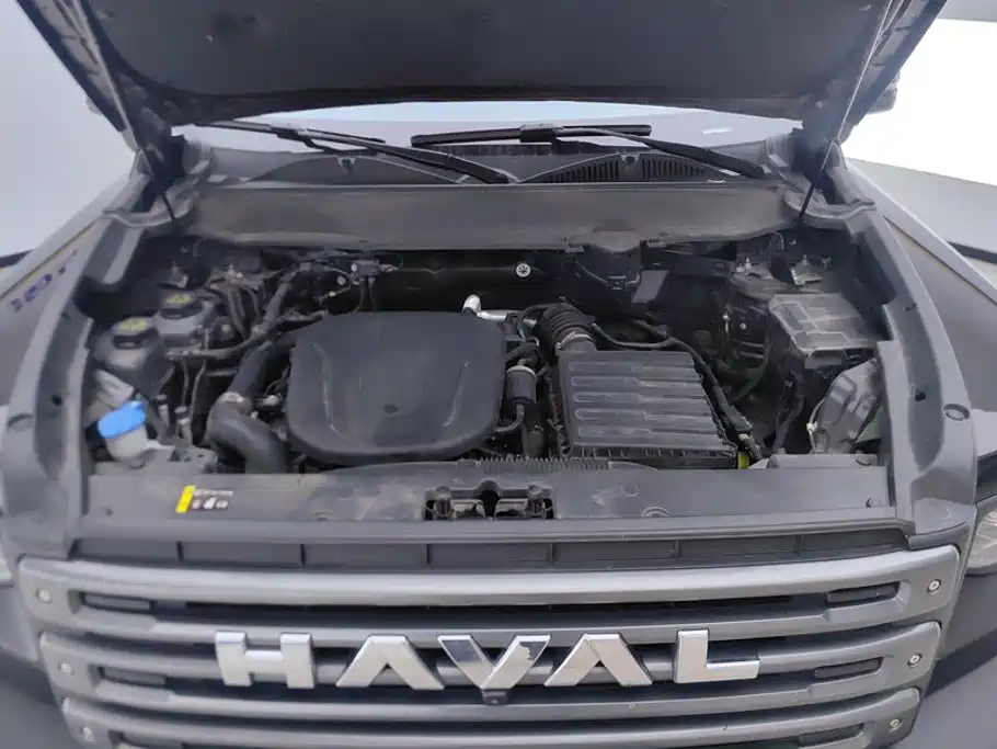 Haval Menglong New Energy — миниатюра 10