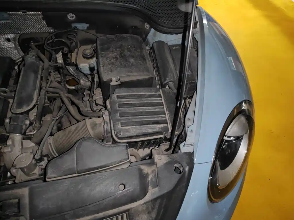 Volkswagen Beetle — миниатюра 20