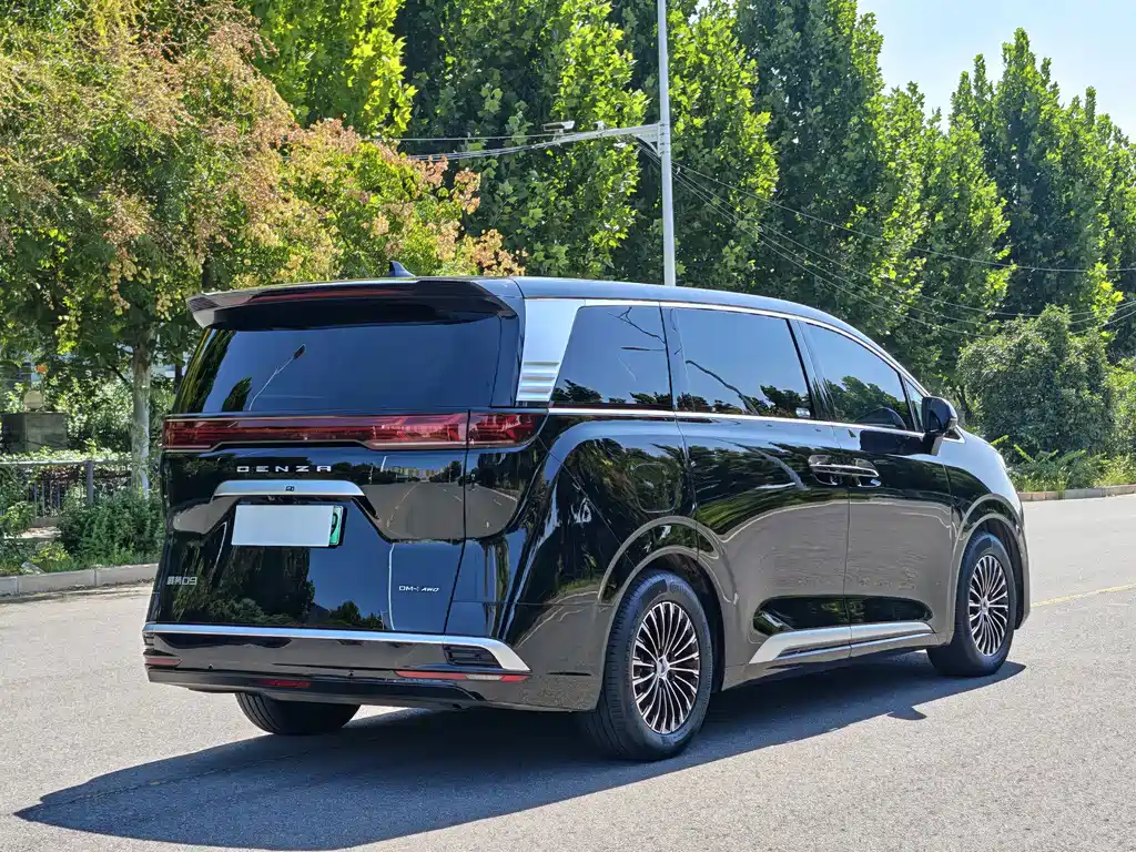 Denza Denza D9 — миниатюра 10