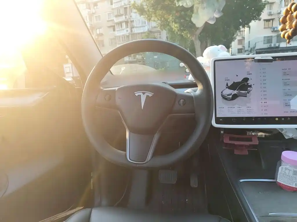 Tesla Model Y — миниатюра 3