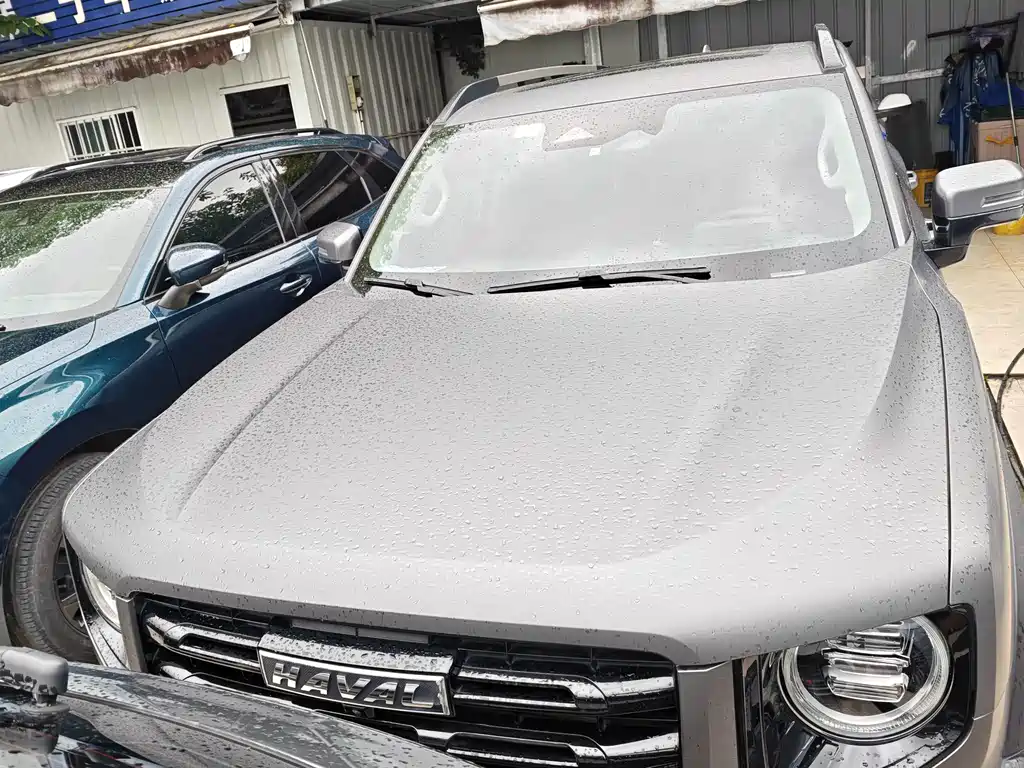Haval Big Dog — миниатюра 2