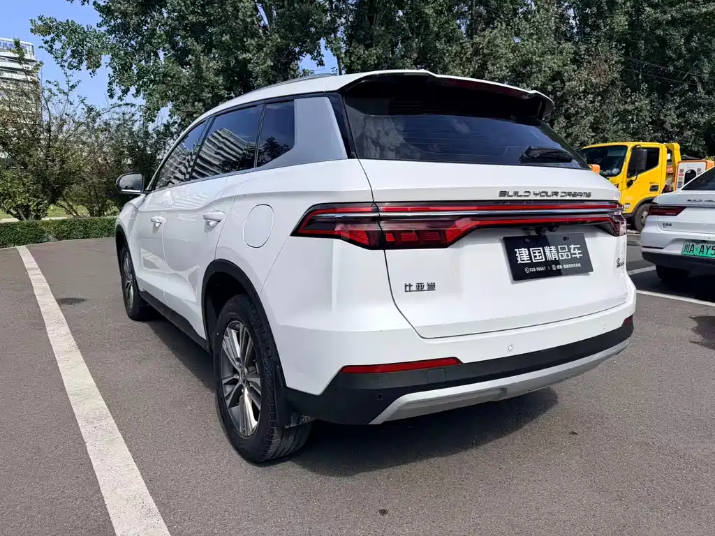 BYD Pro — миниатюра 7
