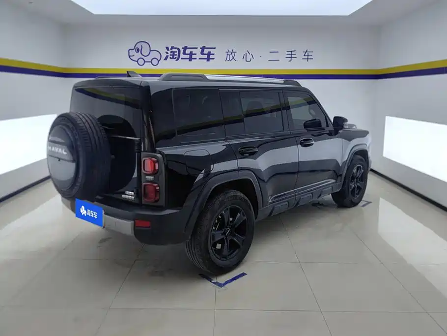 Haval Menglong New Energy — миниатюра 3