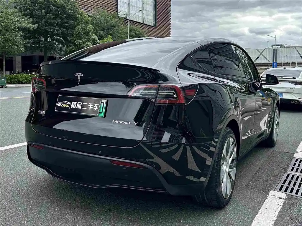 Tesla Model Y — миниатюра 7