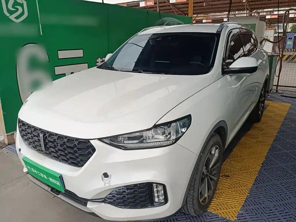 Wey Wey VV6