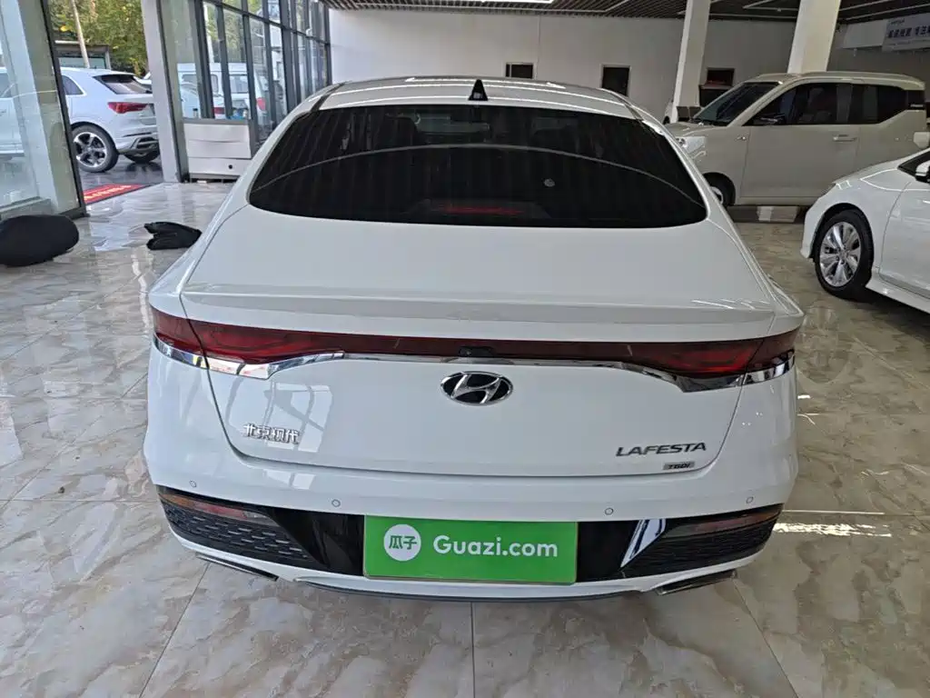 Hyundai Fista — миниатюра 6