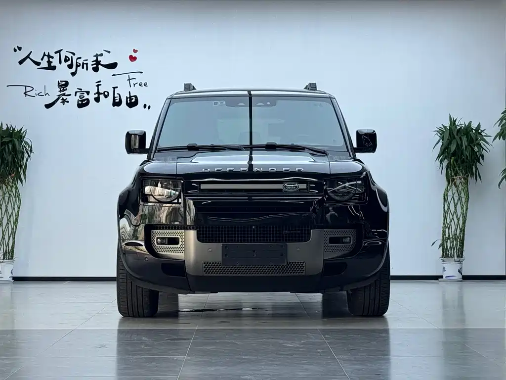 Land Rover Defender — миниатюра 2