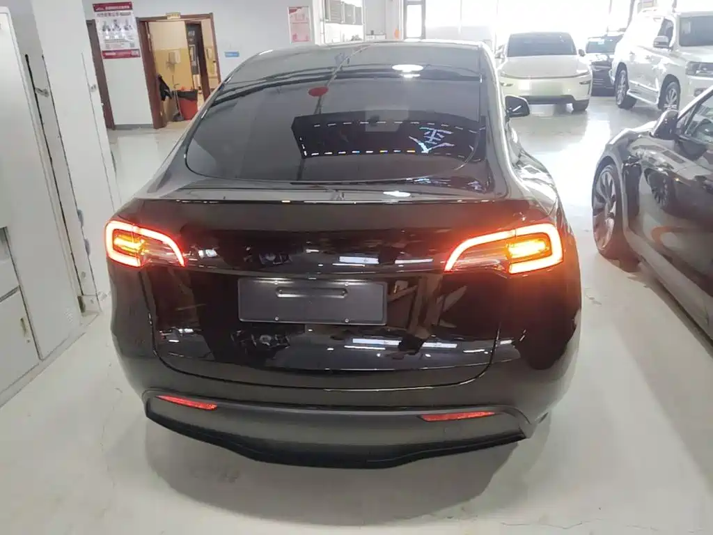Tesla Model Y — миниатюра 6