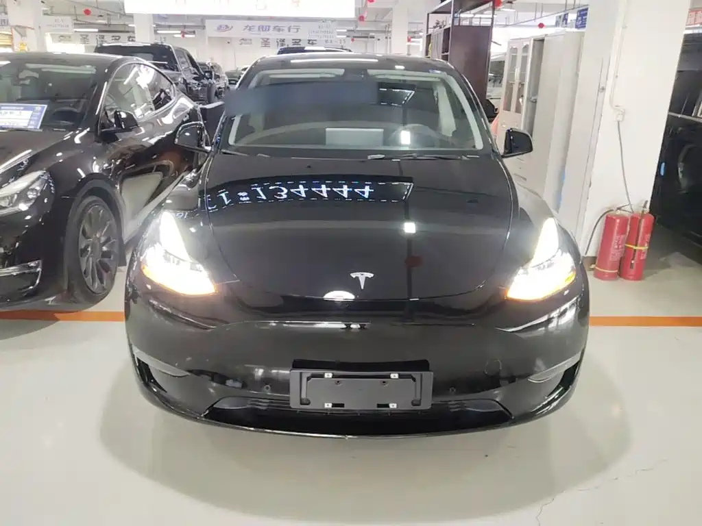 Tesla Model Y — миниатюра 3