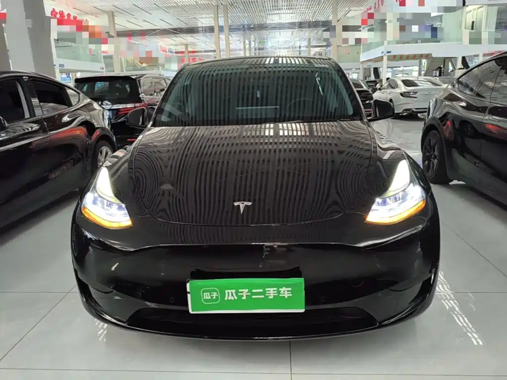 Tesla Model Y — миниатюра 3