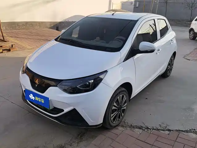 JIANGLING GROUP NEW ENERGY LITTLE UNICORN 2024