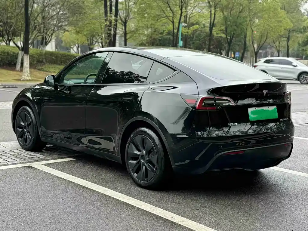 Tesla Model Y — миниатюра 9