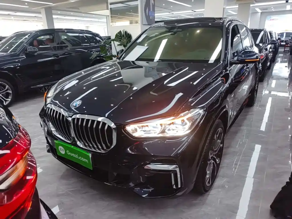 BMW X5 — миниатюра 3