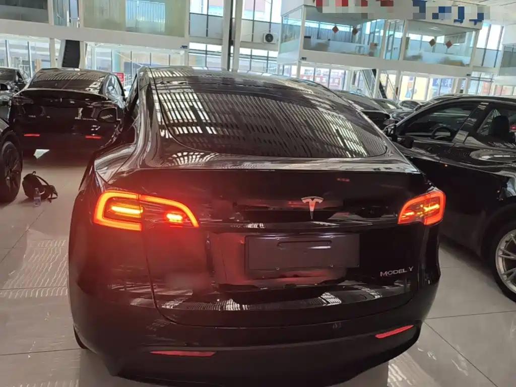 Tesla Model Y — миниатюра 6