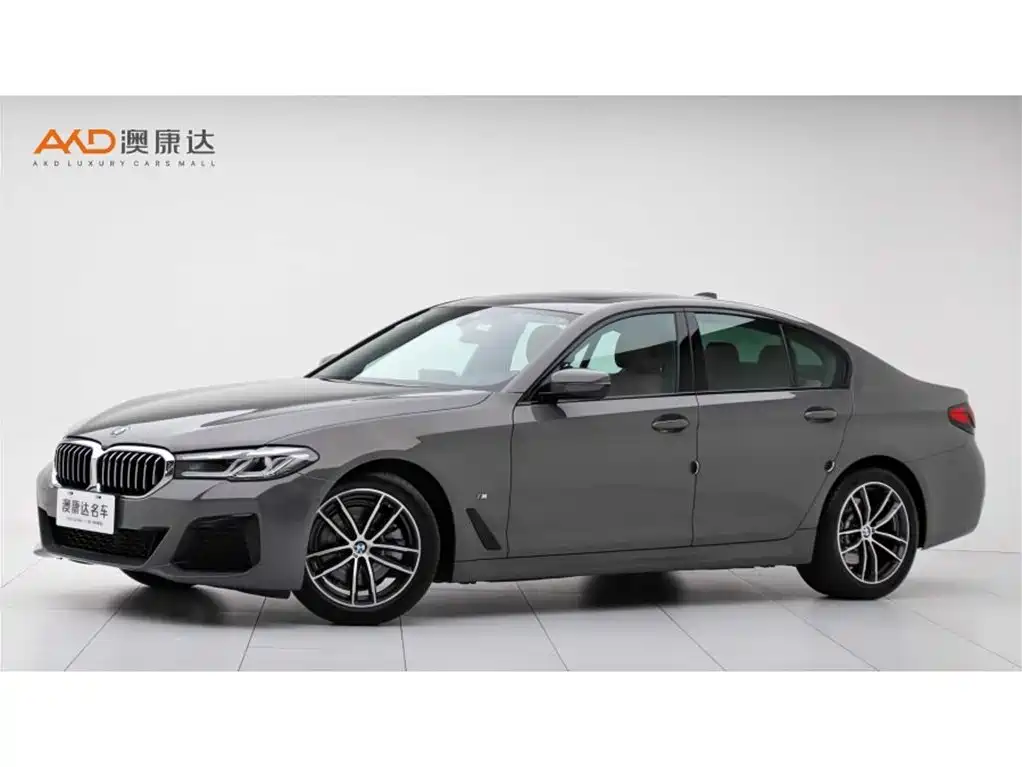 BMW 5 Series (Import) 2021