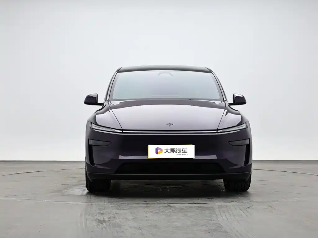 Tesla Model Y L — миниатюра 2