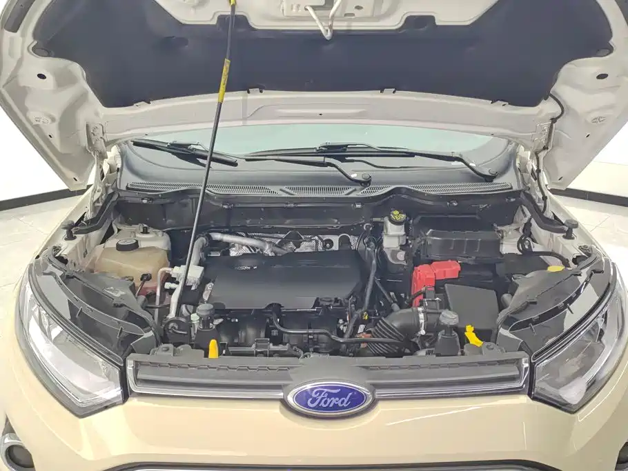 Ford Ecosport — миниатюра 10