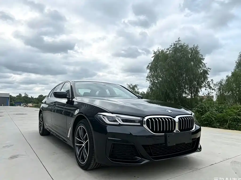BMW 5 Series — миниатюра 3
