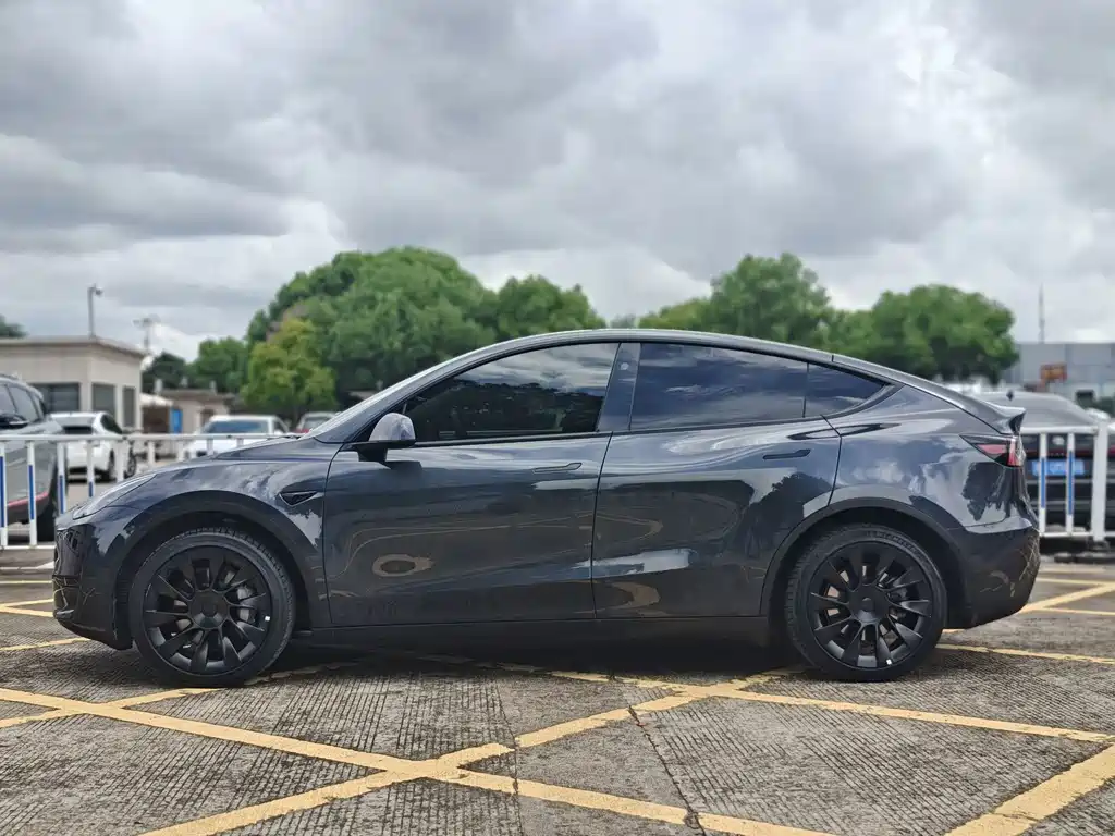 Tesla Model Y — миниатюра 3