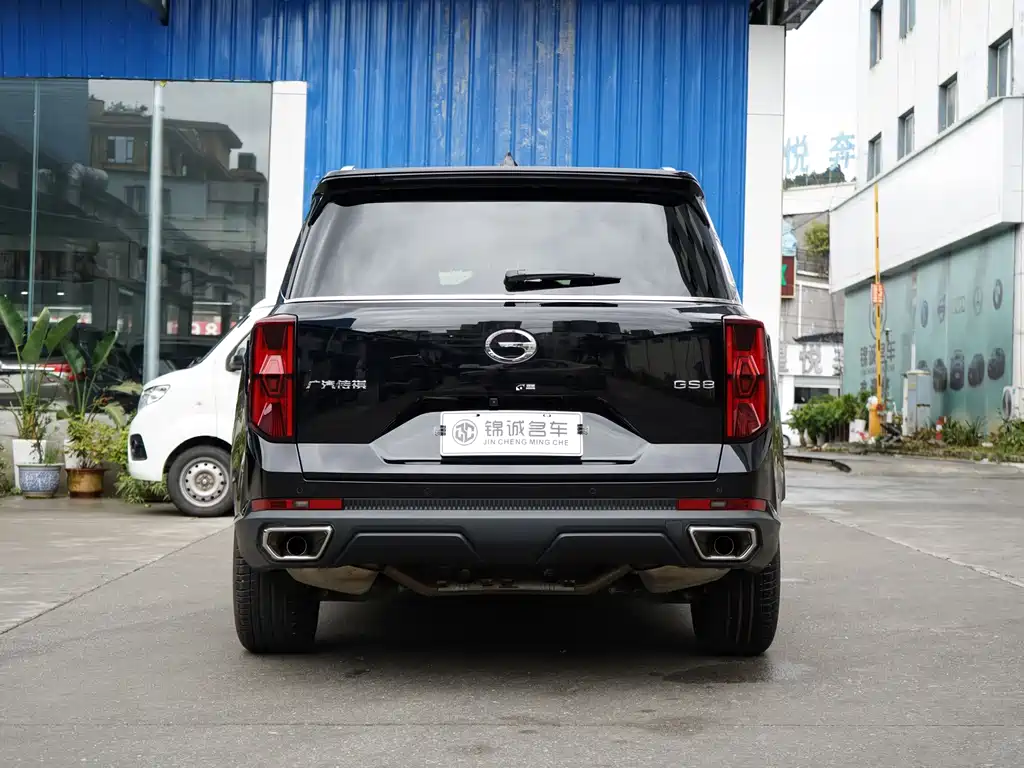 GAC Motor Trumpchi GS8 — миниатюра 8