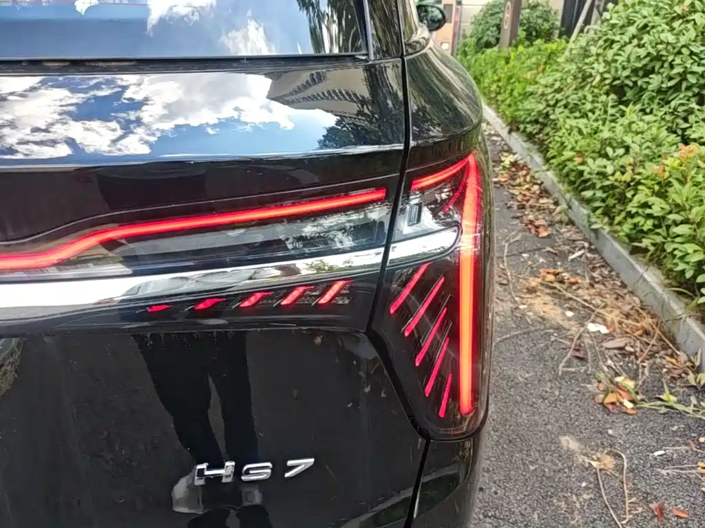 Hongqi Hongqi HS7 PHEV — миниатюра 8