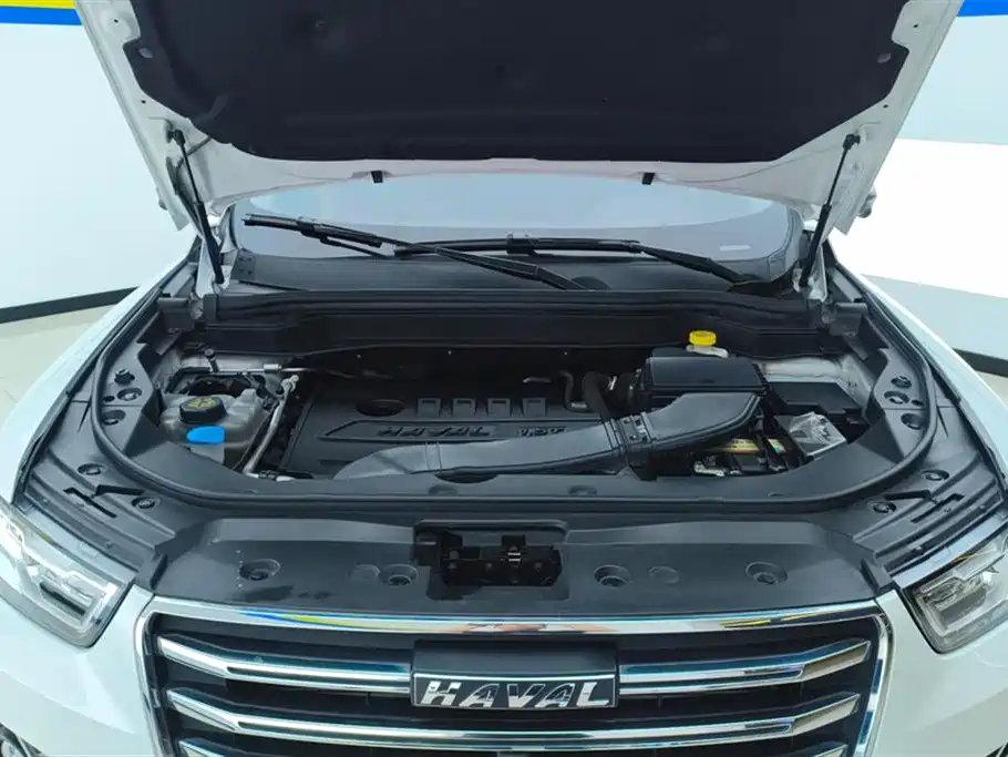 Haval H6 2021 1.5T AT Champion