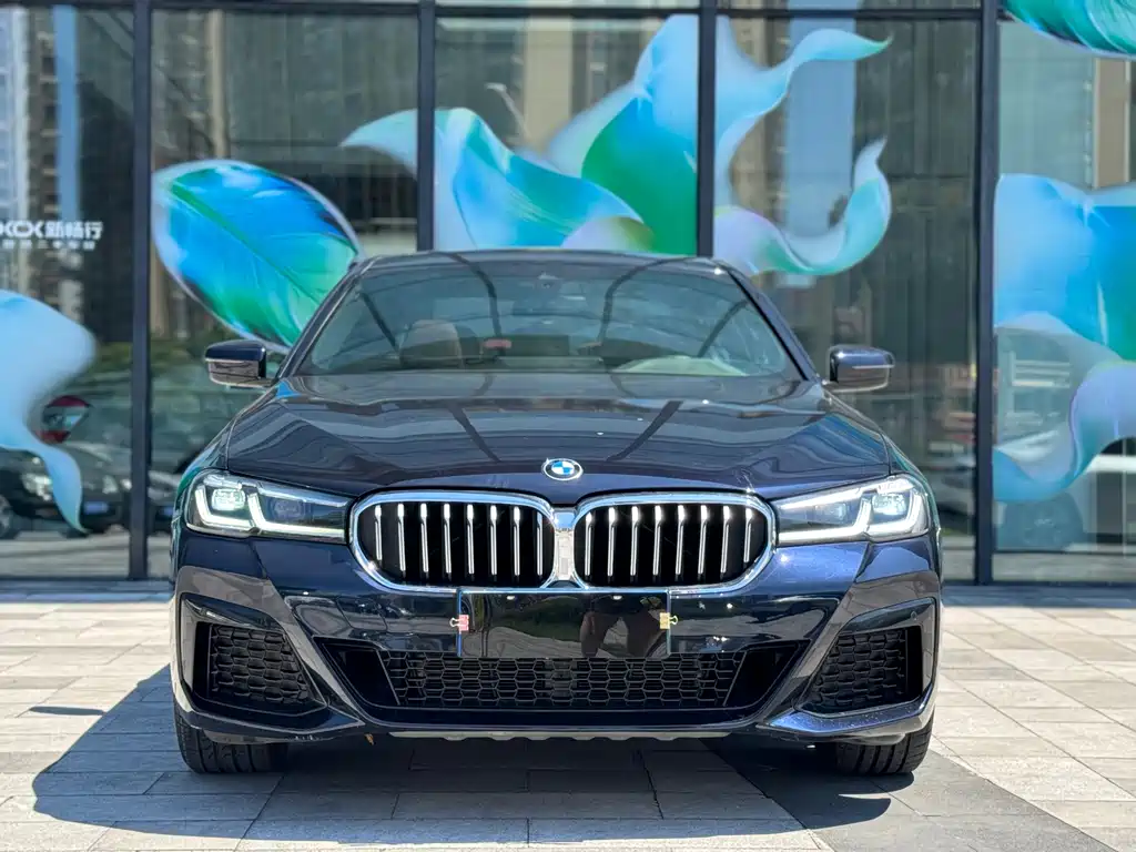 BMW 5 Series — миниатюра 2