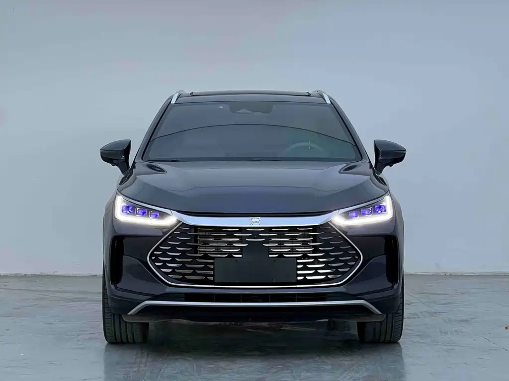BYD Tang New Energy — миниатюра 2