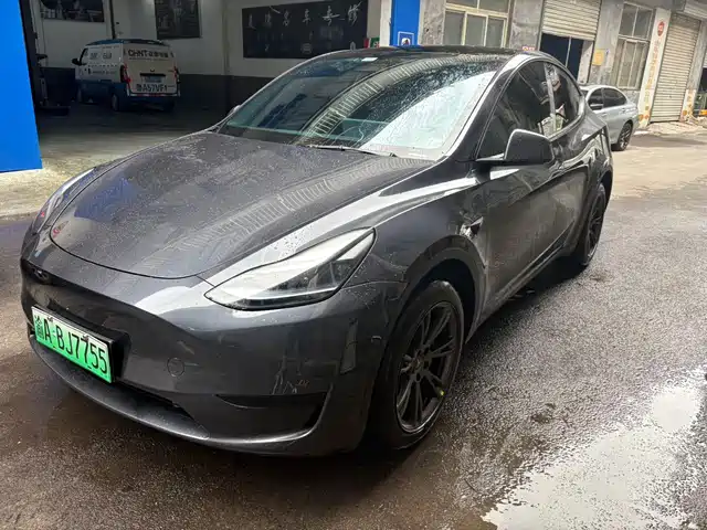 2025 Tesla Model Y