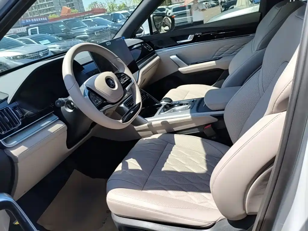 BYD Tang New Energy — миниатюра 15