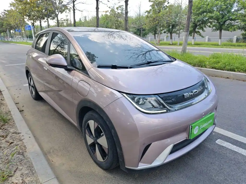 BYD Dolphin — миниатюра 4