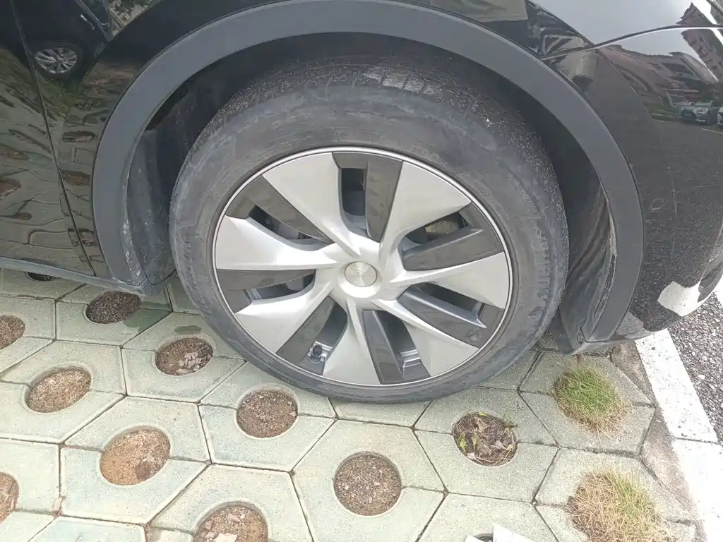 Tesla Model Y — миниатюра 8