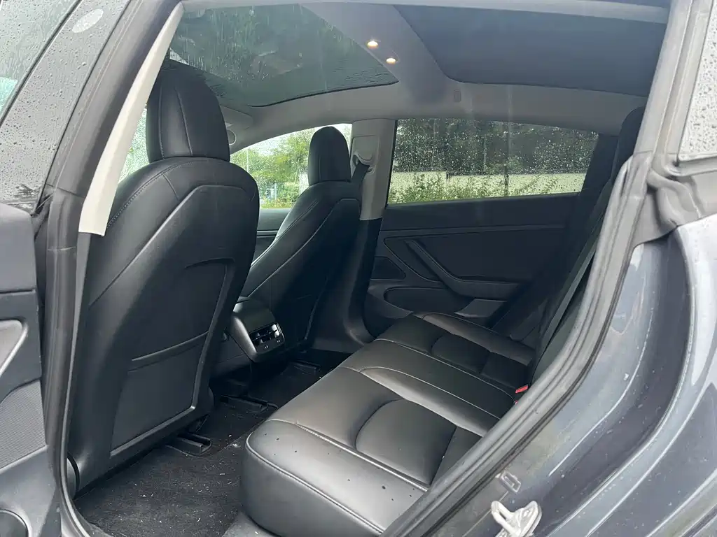 Tesla Model 3 — миниатюра 7