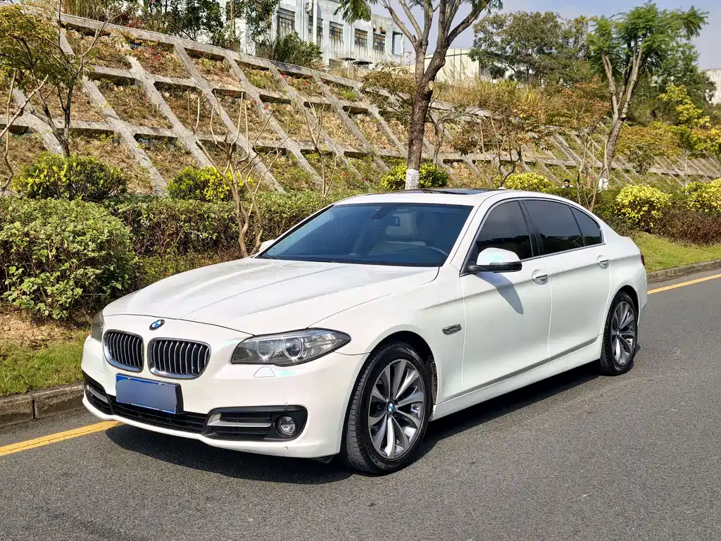 BMW 5 Series 2015
