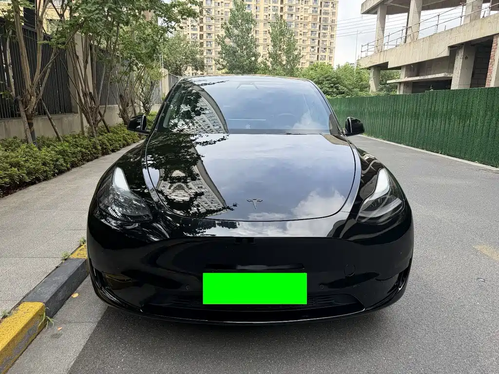 Tesla Model Y — миниатюра 2