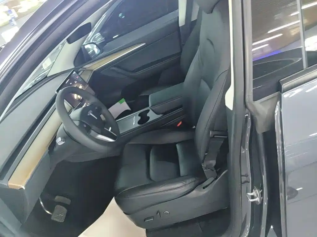 Tesla Model Y — миниатюра 15