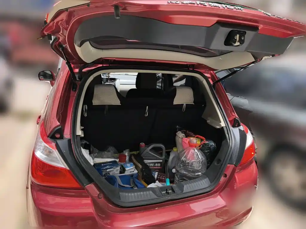 Venucia R50 — миниатюра 10