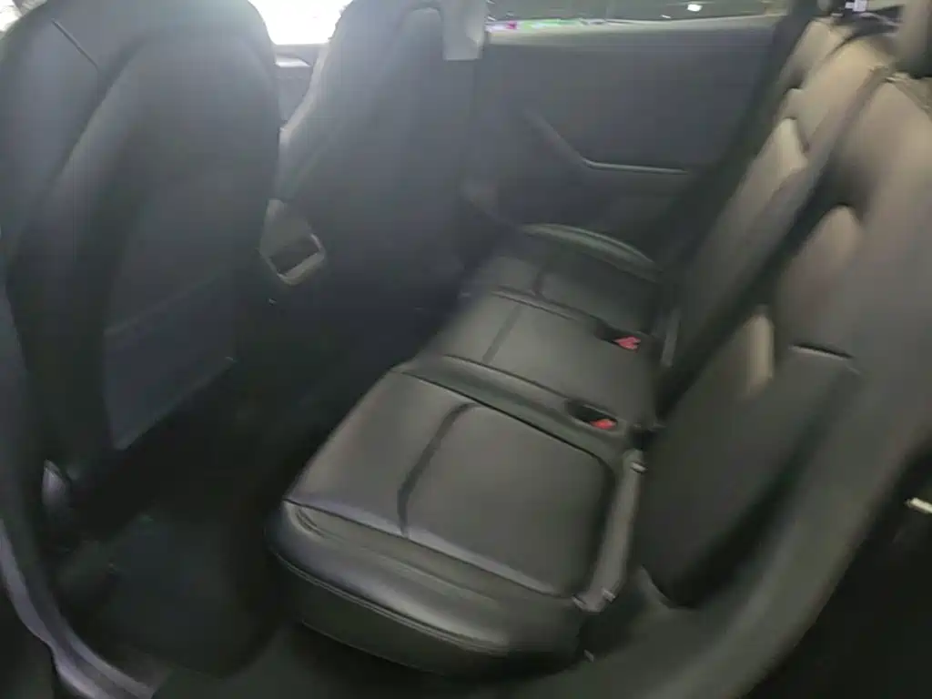 Tesla Model Y — миниатюра 22