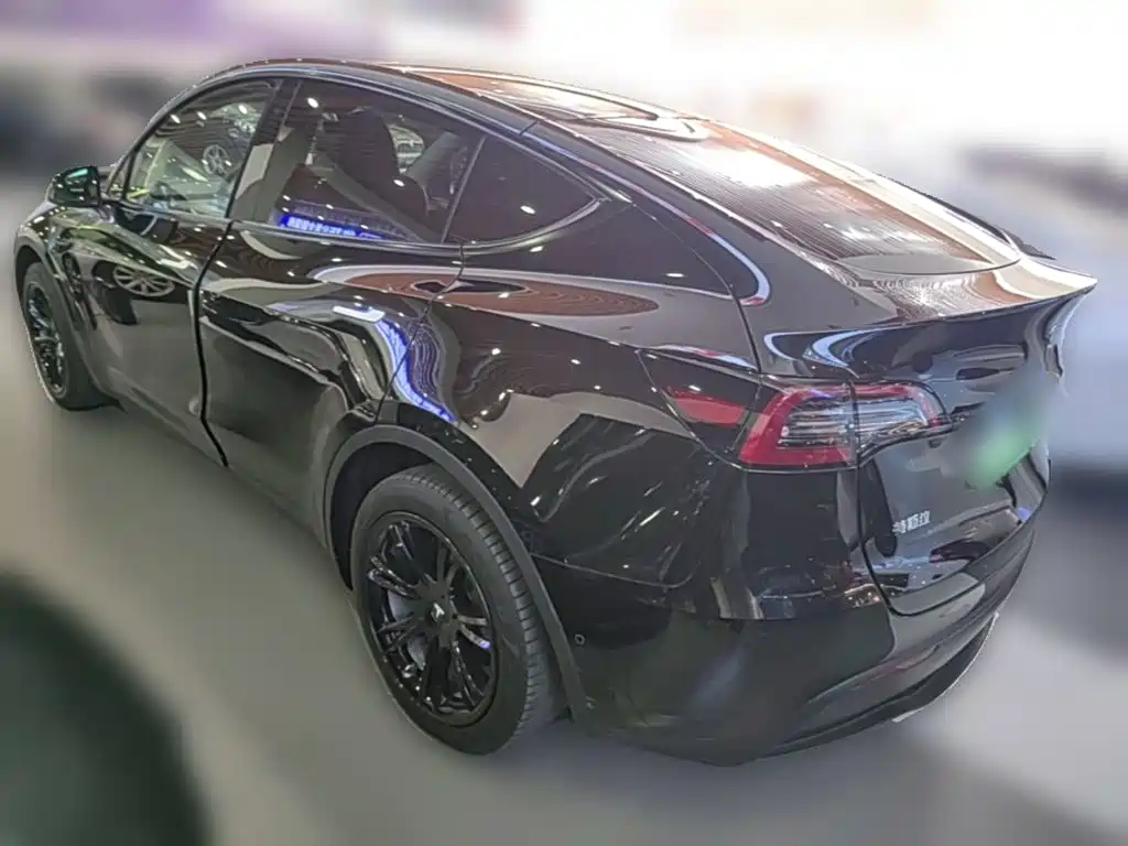 Tesla Model Y — миниатюра 7