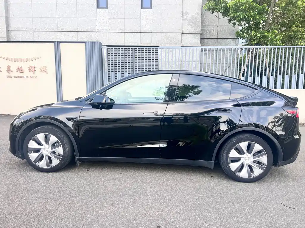 Tesla Model Y — миниатюра 5