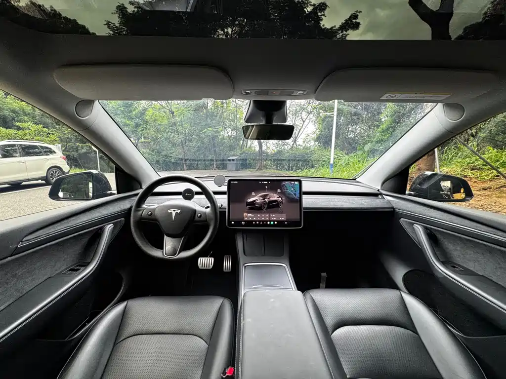 Tesla Model Y — миниатюра 10