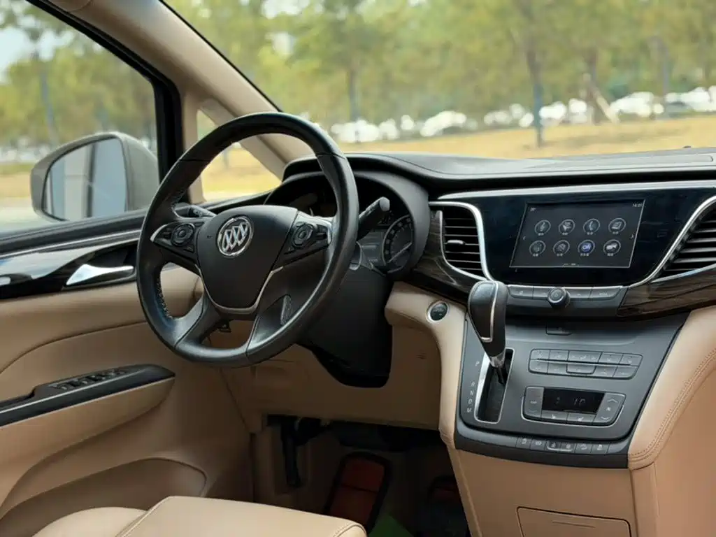 Buick GL8 — миниатюра 20