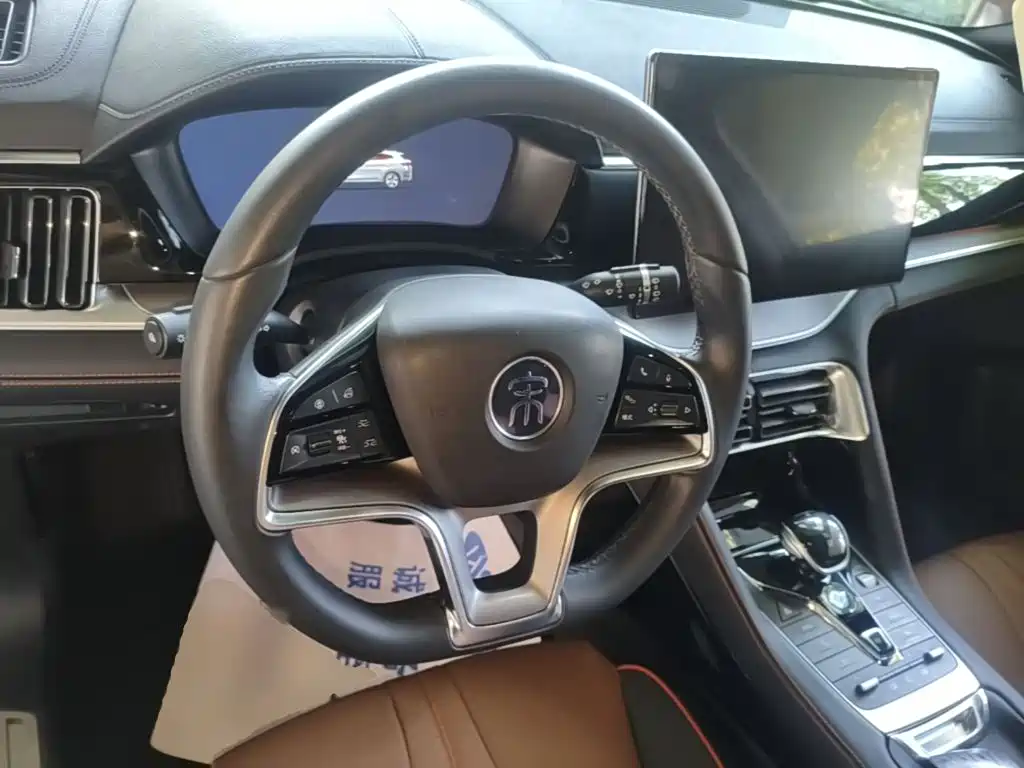 BYD PLUS New Energy — миниатюра 11