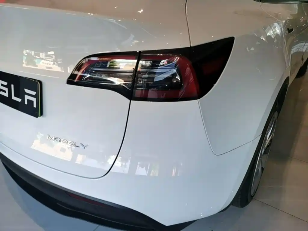 Tesla Model Y — миниатюра 8