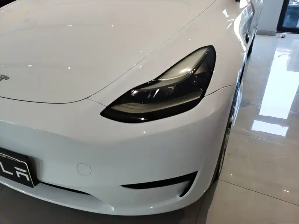 Tesla Model Y — миниатюра 24